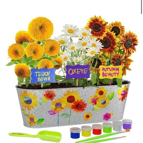 Dan and Darci Other - Host Pick x2  Kids Paint to Plant Sunflower Growing Kit